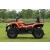 Quad Diabolini BEAST450, HOMOLOGACJA T3B, 400cc chłodzony olejem, wtrysk EFI, alufelgi, wersja dwuosobowa, wyciągarka