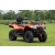 Quad Diabolini BEAST450, HOMOLOGACJA T3B, 400cc chłodzony olejem, wtrysk EFI, alufelgi, wersja dwuosobowa, wyciągarka