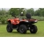 Quad Diabolini BEAST450, HOMOLOGACJA T3B, 400cc chłodzony olejem, wtrysk EFI, alufelgi, wersja dwuosobowa, wyciągarka