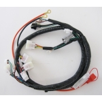 Wiązka elektryczna do Diabolini X4 125 CC