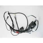 Wiązka elektryczna do Diabolini Hammer Sharmax 200 QUAD ATV