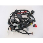 Kompletna wiązka elektryczna do Diabolini Terrax 300 QUAD ATV