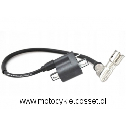 Cewka zapłonowa do Alfarad 250 CC KXD