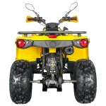 Quad Diabolini Sharmax 200cc chłodzony olejem, skrzynia CVT, kolor: żółty RATY !!!